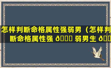 怎样判断命格属性强弱男（怎样判断命格属性强 🐋 弱男生 🌸 ）